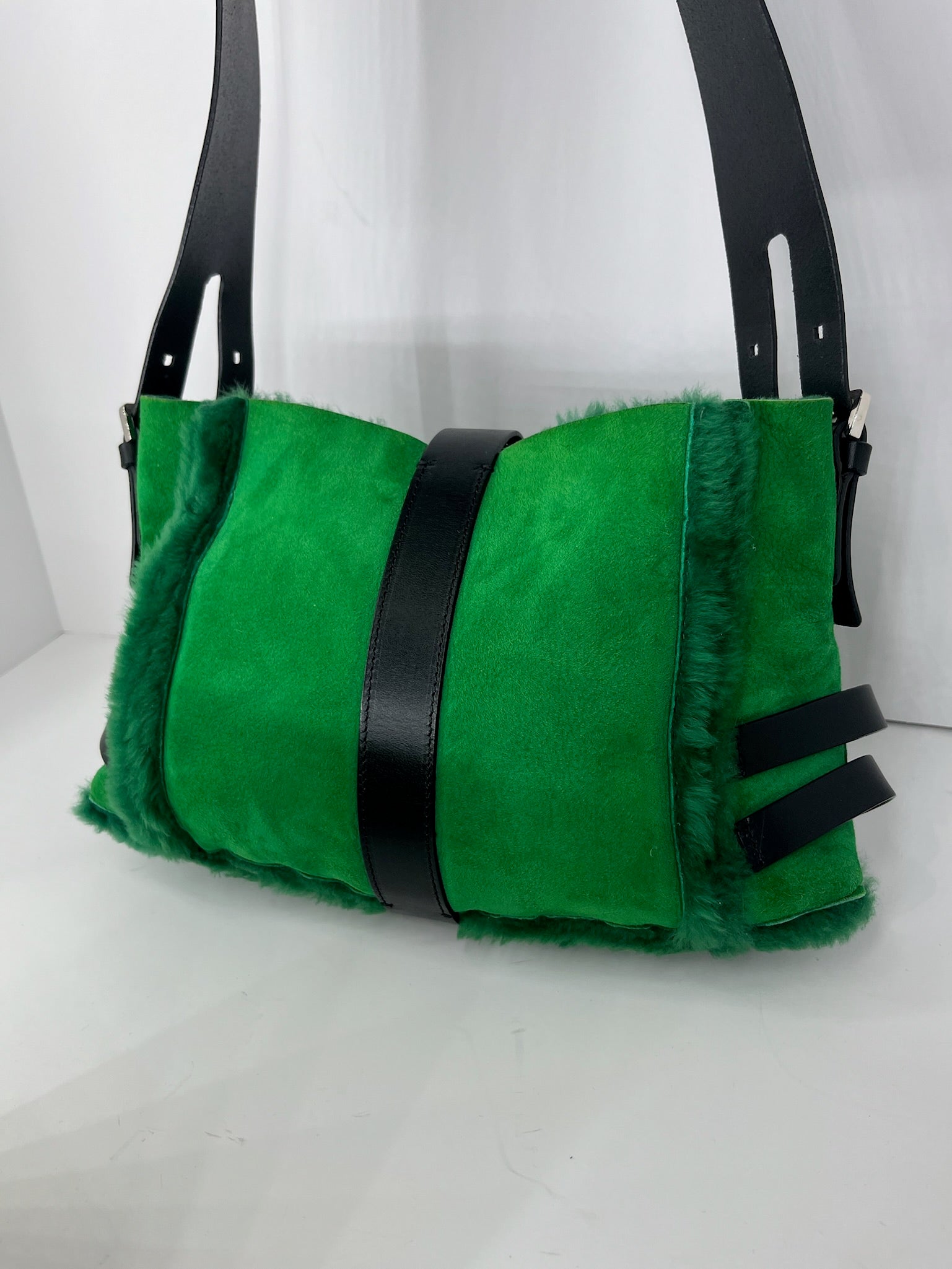 Bottega Veneta Limited Edition Bag